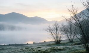 140-foggy-morning-quotes-to-embrace-the-day