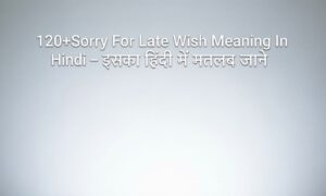 120sorry-for-late-wish-meaning-in-hindi-–-इसका-हिंदी-में-मतलब-जाने